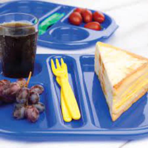 Food Compartment Trays